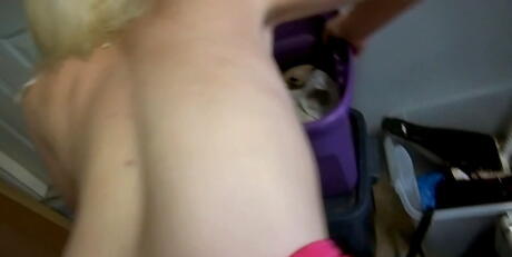 Very attractive american blonde young Marilyn Moore rammed after hot blowjob 