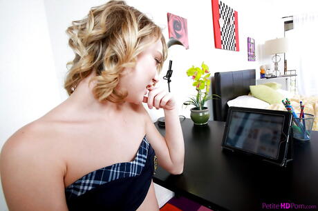 Rangy american teen Dakota Skye exhibiting small tits and shaved pussy 