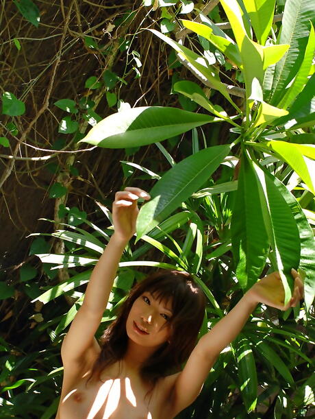 Stunning japanese babe Hikari Hino in hot erotic gallery