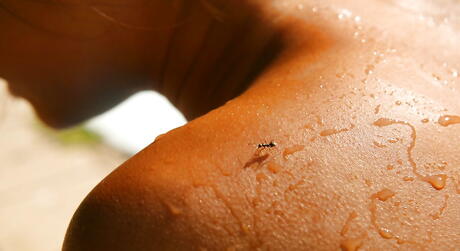 Sexy japanese Yoko Yoshikawa in bikini showing her butt near the pool