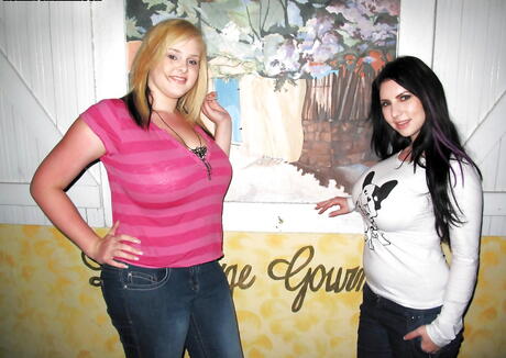 Lush girls Ashley Sage Ellison and Karina enjoy a lesbian foreplay 