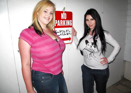 Lush girls Ashley Sage Ellison and Karina enjoy a lesbian foreplay 