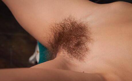 Svelte teen Dennie baring small tits and hairy pussy 