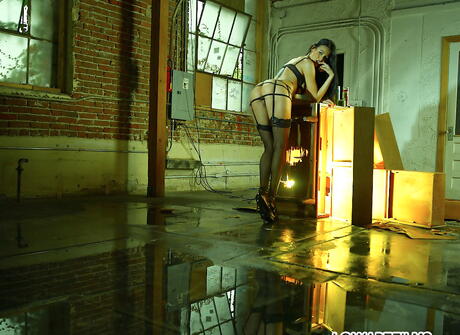 Alluring porn star Sea J. Raw exposes big titties and masturbates 