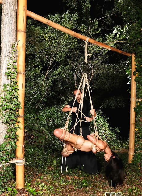 Excellent japanese brunette Marica Hase in bdsm action outside