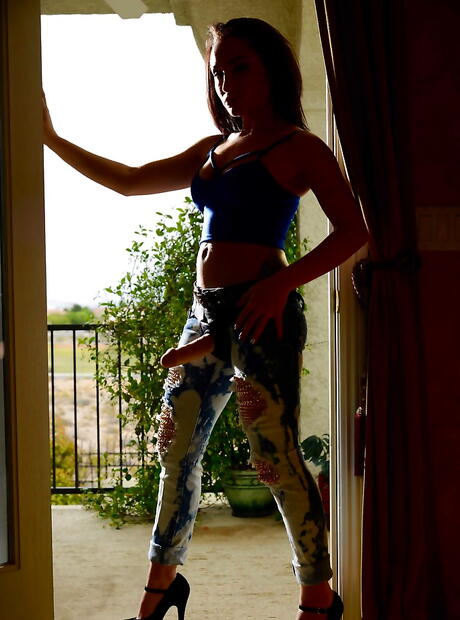 Rangy american brunette Gabriella Paltrova shows big hooters and hairy beaver 