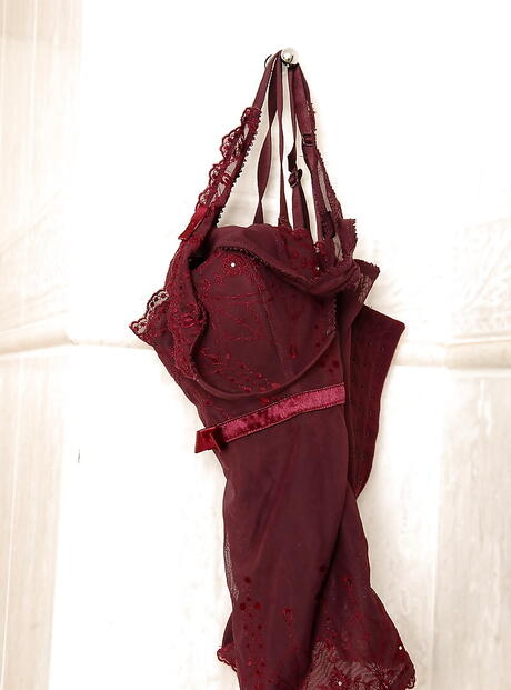 Sexy milf Veronica Da Souza in sexy lingery exhibits big hooters and hot ass in shower