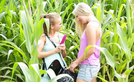 Hot women Bella Baby and Cayla Lyons in fancy shorts licking each others pussies and enjoying with dildo outside