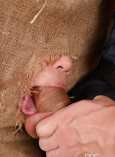 Affascinante milf asiatico Tigerr Benson goditi il ​​sesso a trio hardcore
