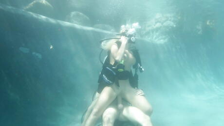 Deluxe Angelina Ashe a frappé fort dans sa jolie chatte après une bonne pipe près de la piscine
