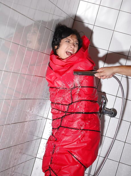 Curieux miho lechter aux cheveux noirs hongrois dans l