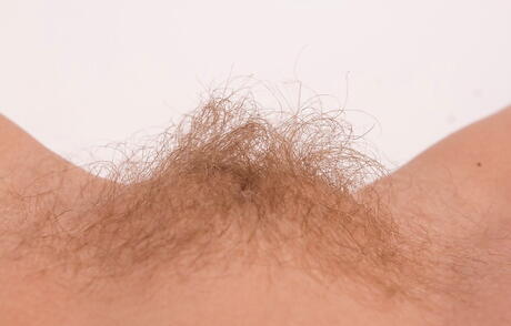 We Are Hairy: Sylph podobna do blondyn