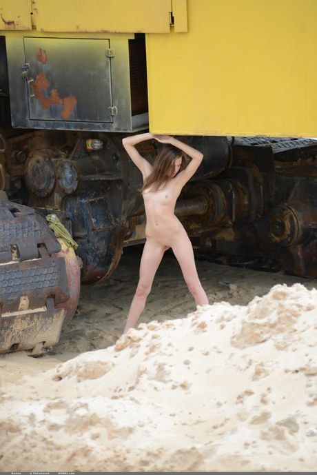 無邪気なティーン、ルンバが野原で毛布の上でヌードになる。
