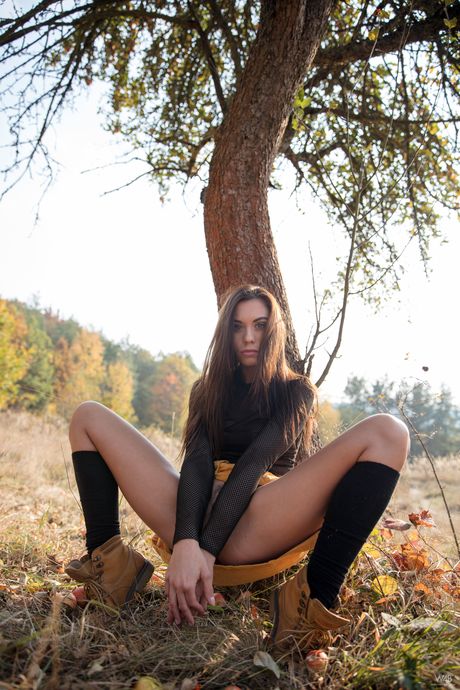 Hot babe Sabrisse strikes great nude poses on a tree stump by a river