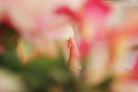 Viv Thomas: Adorable teen Alexa Day removes her lingerie before fingering her pussy on a table