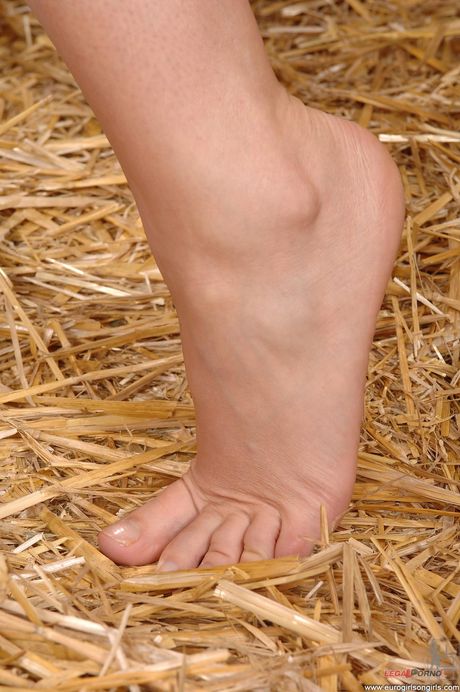 Blonde babes Jasmin en Linda Shane spelen elkaars voeten en kutjes
