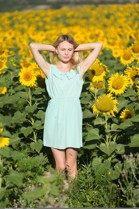 Domai: Blonde teen Maria Rubio goes nude in a field of sunflowers