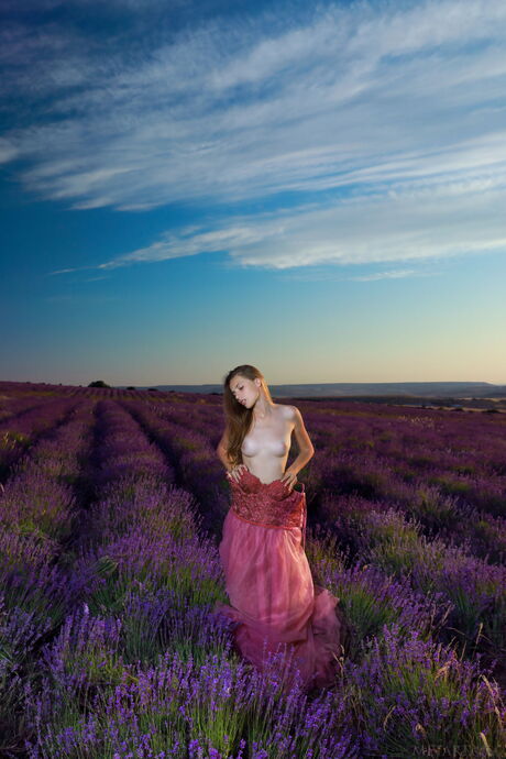 Ryska skönhet Elle Tan tar av sig allt i ett fält av lavendel
