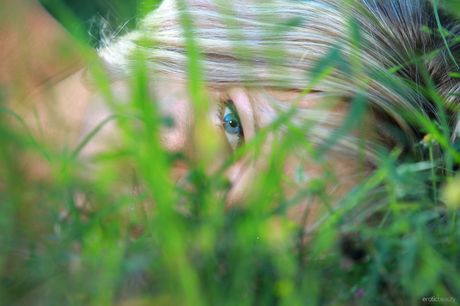 Young beauty Malinka A models totally naked in a forest