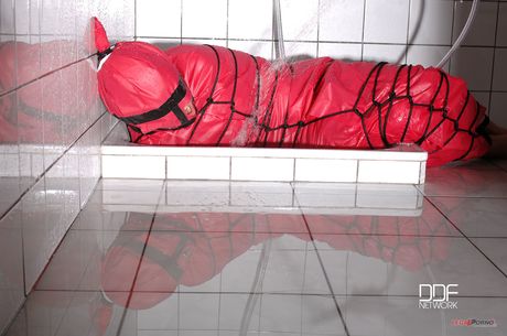 섹시한 헝가리 미호 레흐터가 묶여 찬물로 샤워하는 모습
