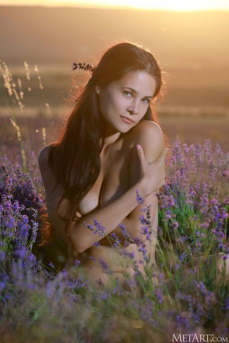 Mooie tiener Martina Mink gaat naakt in een veld van lavendel
