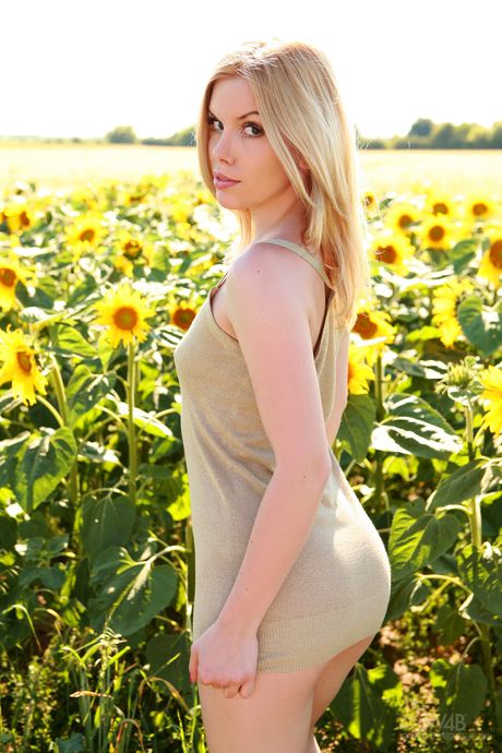 Blonde babe Kala Ferard models totally naked in a sunflower field