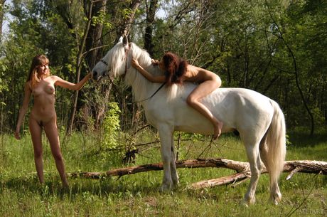 マグネティックなティーン・ガール、オルガDとアンナPがシャワー室で裸になり合う。

