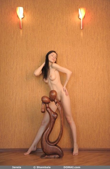 Solo girl Janela models totally naked in a confident fashion by herself