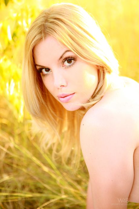 Skinny blonde Kala Ferard exhibits perfect body in a field of wheat by herself