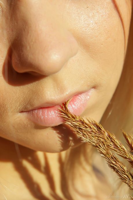 Naked teen Paloma B shows her beautiful body in a field of tall grasses