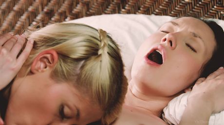 Sweet Cat e Nataly Von estão na biblioteca lendo romances eróticos quando eles
