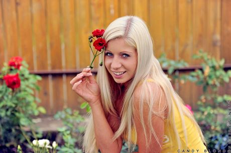 Blonde model fingers her pussy in knee socks on a hammock in the yard